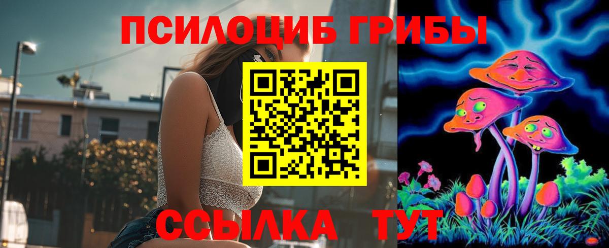 Галлюциногенные грибы мицелий  Вход с VPN  Сегежа 