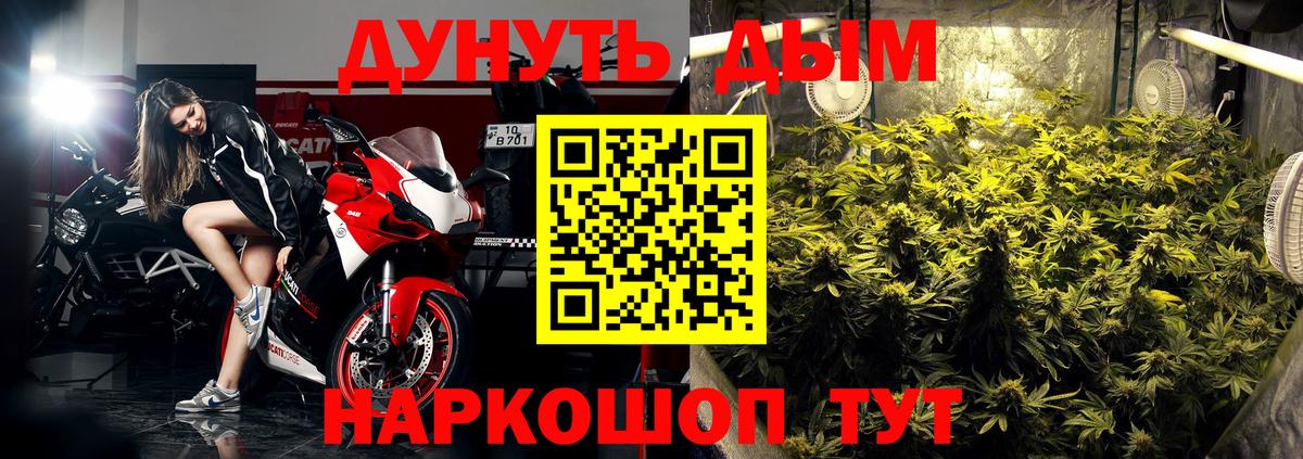 Бошки Шишки Bruce Banner Сегежа